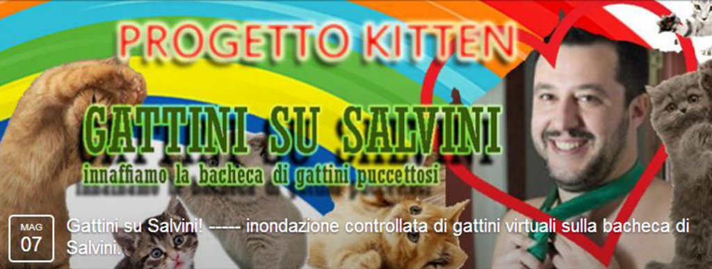 #GattiniSuSalvini: da fenomeno goliardico a strumento di propaganda politica? 19