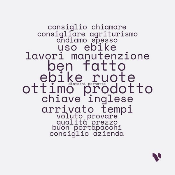 bicicletta elettrica parole caratterizzanti conversazioni recensioni Parole caratterizzanti le conversazioni su “bicicletta elettrica” sulle recensioni